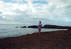 2000 - Australie 319(-)